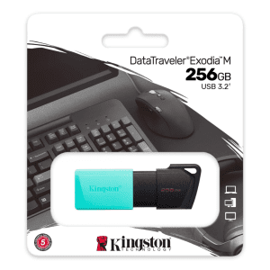 flash memory 256gb kingston dtxm256gb 007801.png