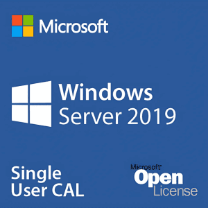 ms winrmldsktpsvrs cal 2019 sngl olp nl dvccal 6vc 03748 tcws.png